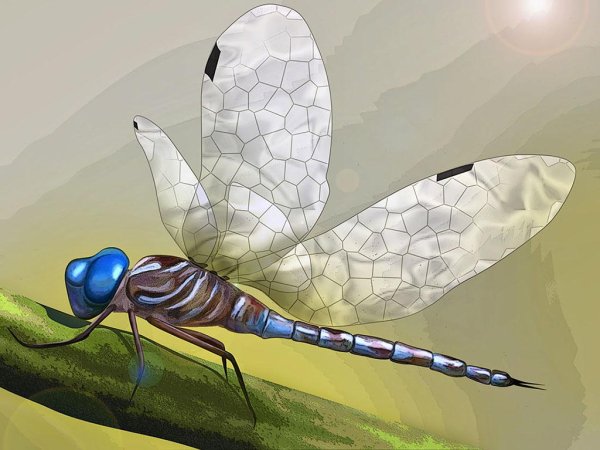 Стрекоза арт