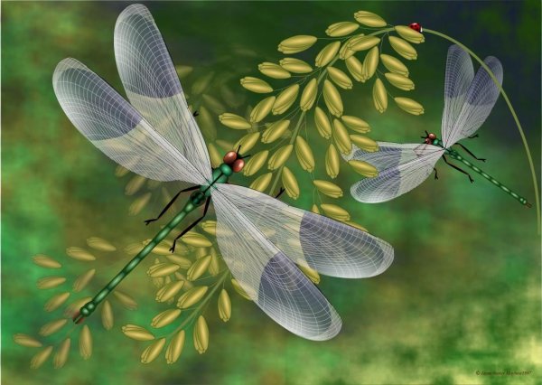 Миграция стрекоз