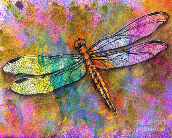 Стрекозы арты