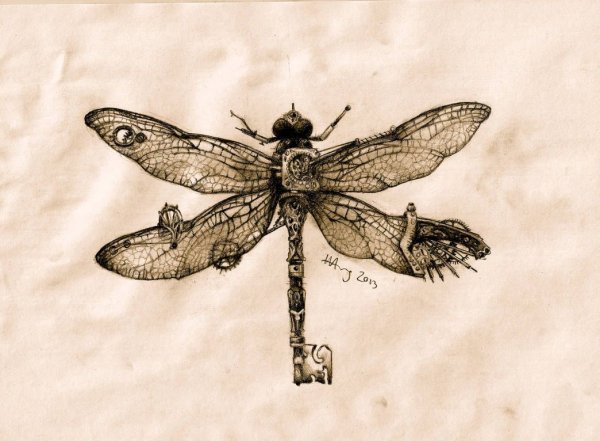 Стрекоза эскиз