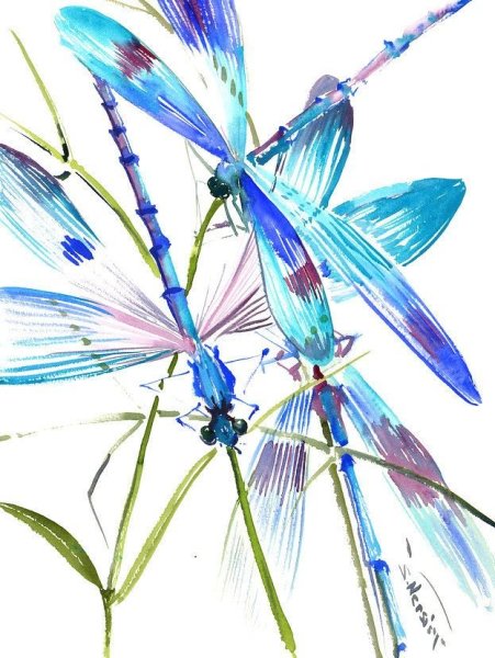 Стрекоза акварель