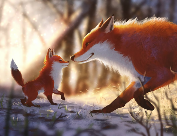 Лисы с лисятами арт