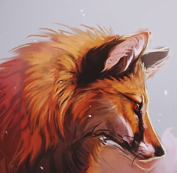 Красивая лиса арт