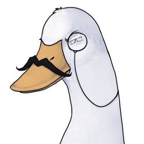 Аватарка гуся