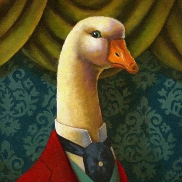 Гусыня акка Кнебекайзе