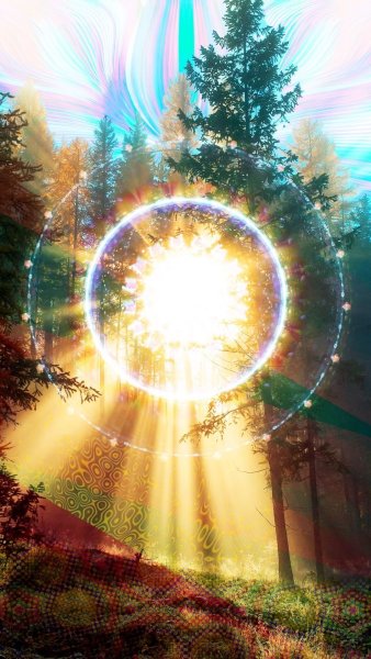 Солнце сияет