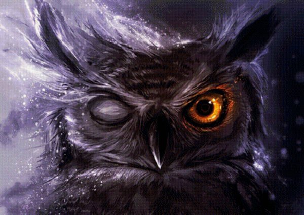 Одноглазая птица