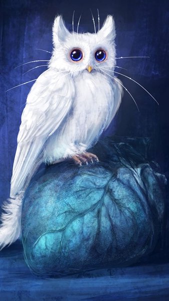 Голубая Филиппинская Сова