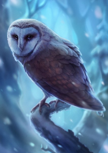 Сова сипуха арт