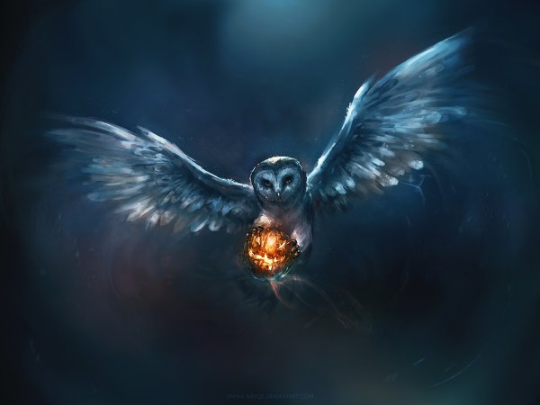 Мистическая Сова