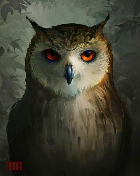 Сова арт