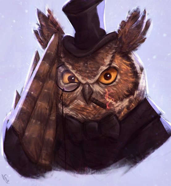 Сумасшедшая Сова