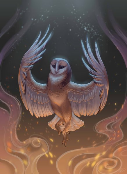 Сова сипуха фэнтези