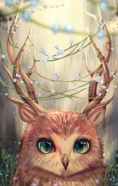 Совы арт фэнтези