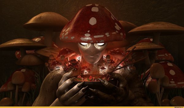 Аманита Мускария психоделика