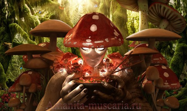 Царь мухомор