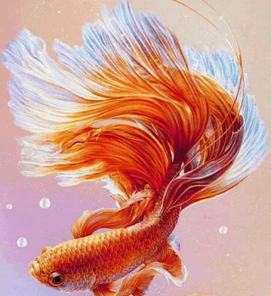 Золотая рыбка