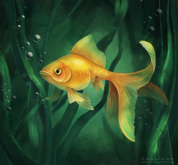 Сказочная рыба