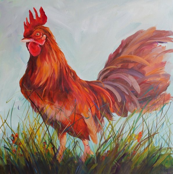 Джон Грайз Rooster