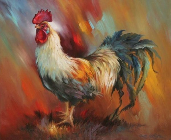 Петух живописный