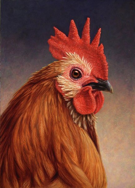 Курица арт