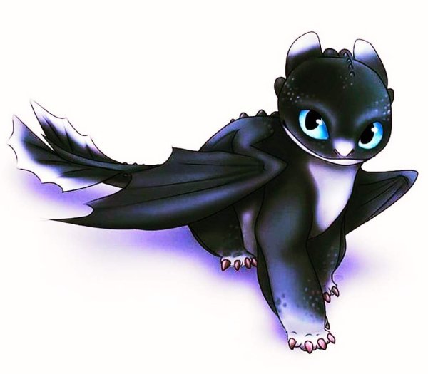 Черносвет Шерис