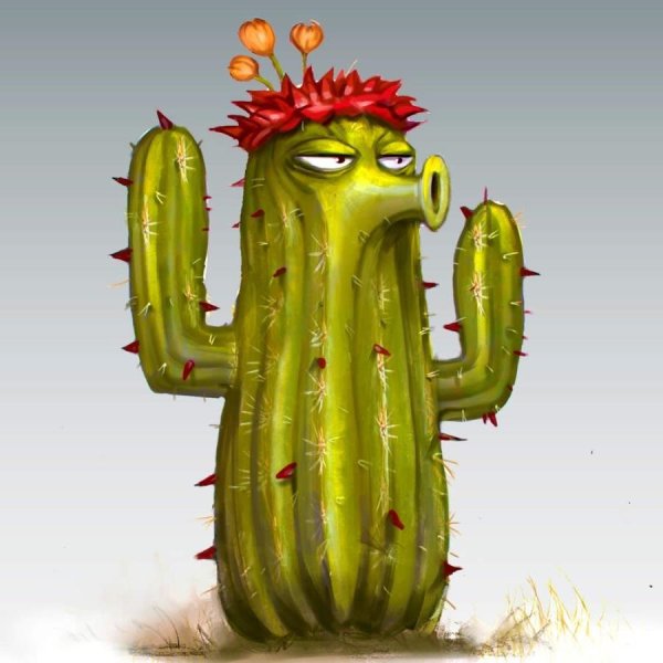 Веселый Кактус