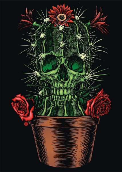 Злой Кактус