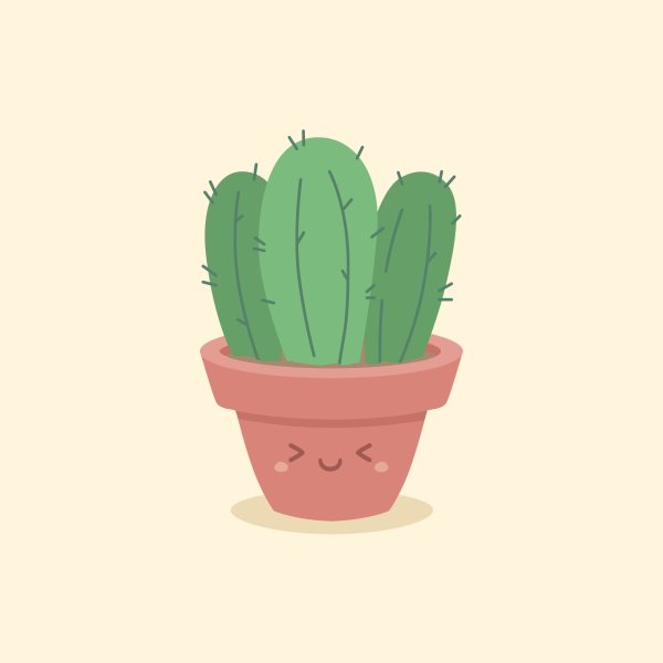 Милый Кактус