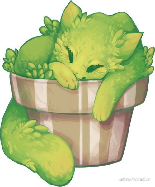 Милые растения