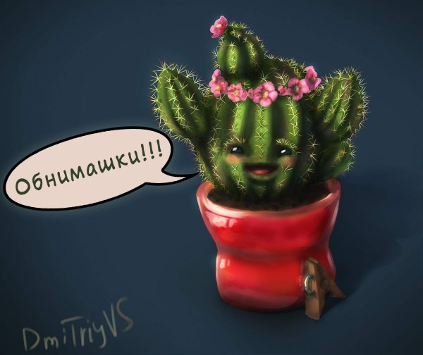 Елочные кактусы