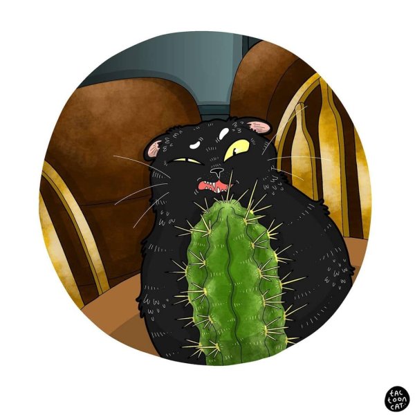 Кот из кактусов