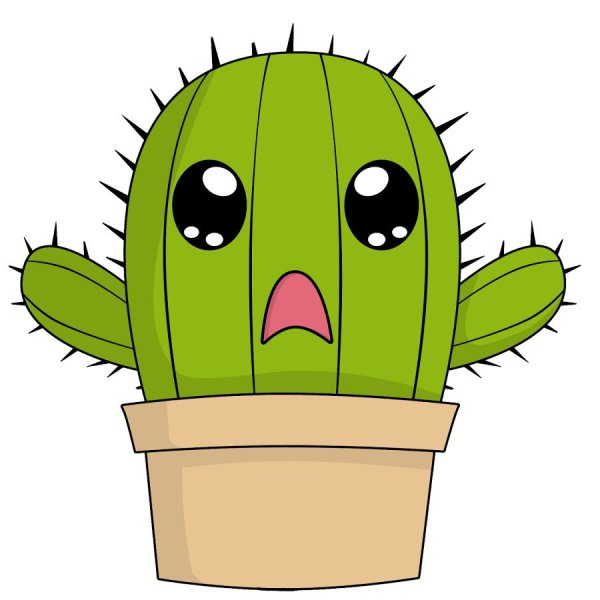 Милый Кактус