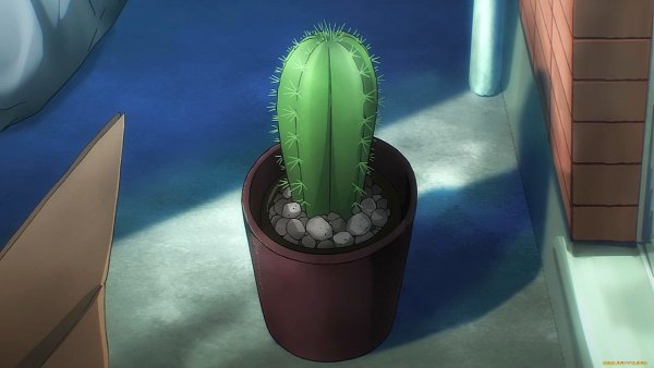 Ходячий Кактус