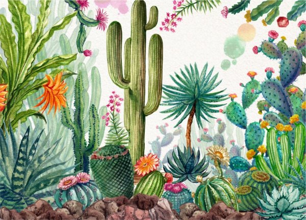 Акварельные кактусы