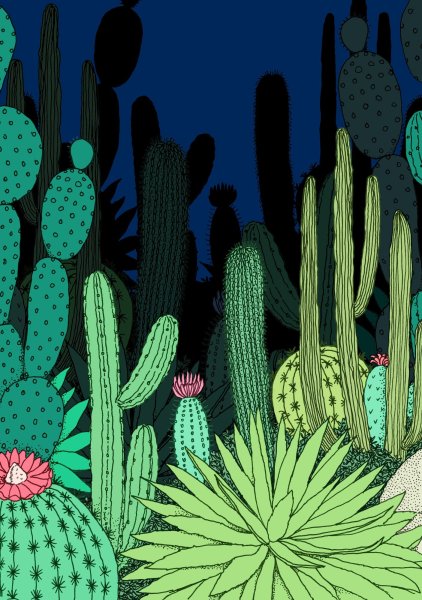 Мексика Эстетика кактусы