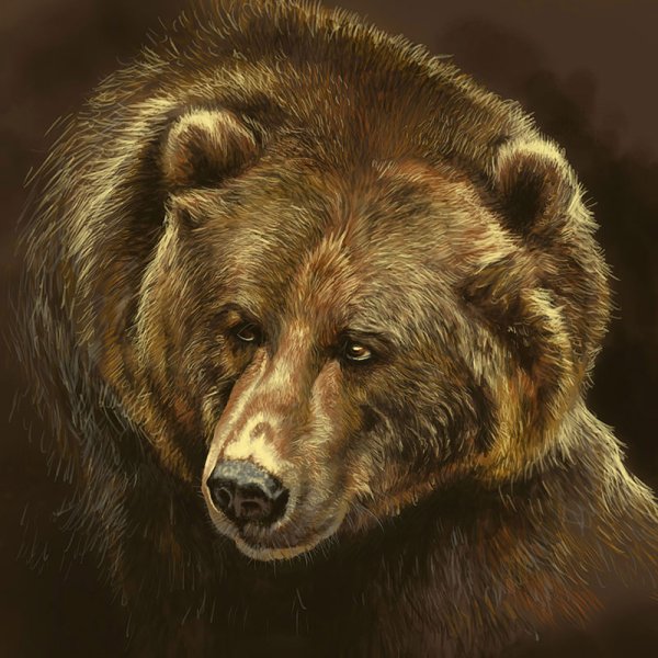 Бурый медведь DND