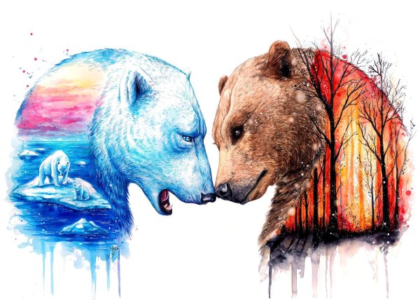 Медведь красивый рисунок