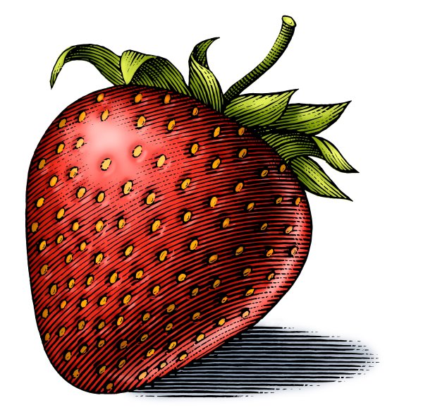 Клубника арт