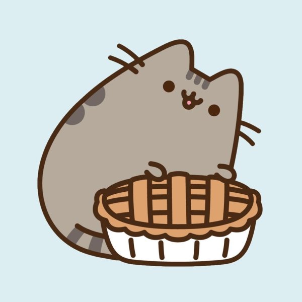 Пушин зе Кэт