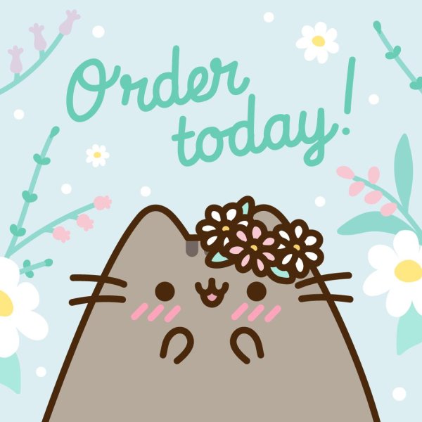 Милый Пушин Кэт