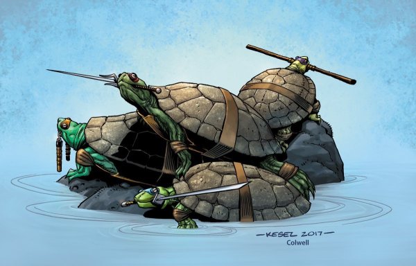 Красноухая черепаха черепашек ниндзя