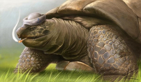 Каменная черепаха фэнтези