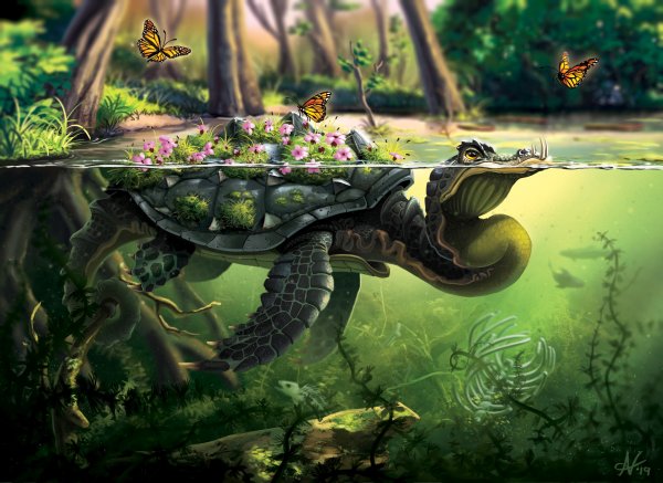 Черепаха арт