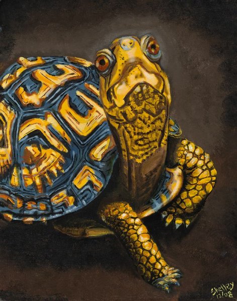 Картина черепаха