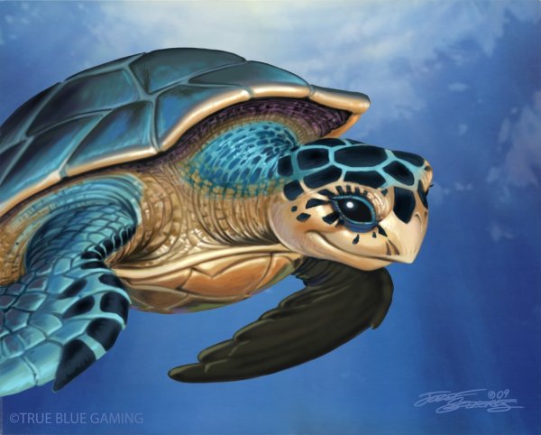 Черепаха арт