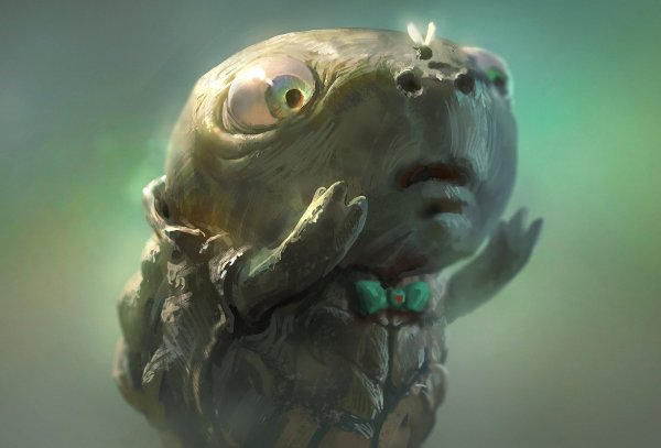 Черепаха арт