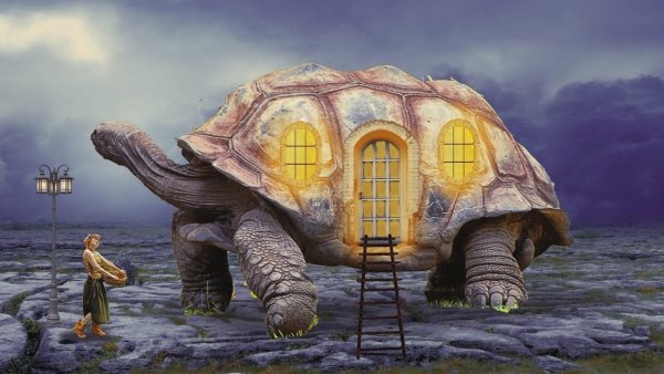 Фантастическая черепаха