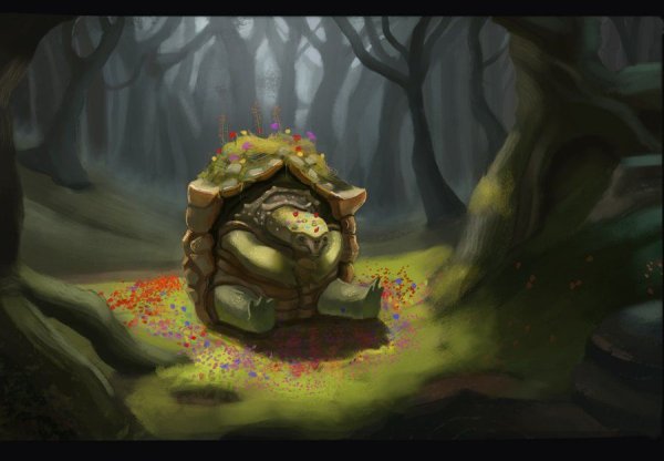 Тортл ДНД арты