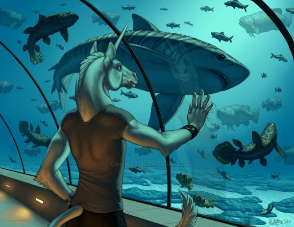 Люди акулы арты